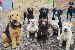 18444744_312368415861697_7024119597552893952_n