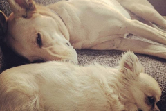 19985848_1389742801116346_8897684086978510848_n