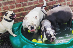 20394302_109095239734759_7377532970074112000_n