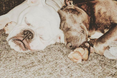 20969044_111383399575334_5557222806648782848_n