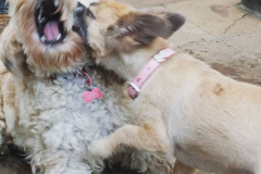 21107273_1936641119696529_9186688639575261184_n