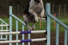 DSC02626-e1511214159845