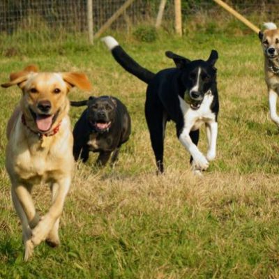 home_bottom_pic3.jpg home_bottom_pic3.jpg